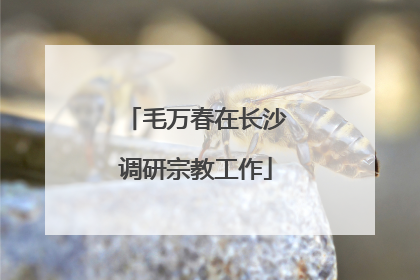 毛万春在长沙调研宗教工作