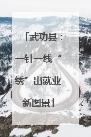 武功县：一针一线“绣”出就业新图景
