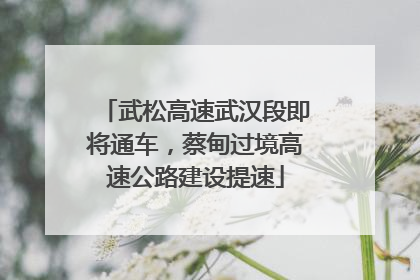 武松高速武汉段即将通车，蔡甸过境高速公路建设提速