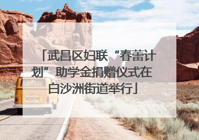 武昌区妇联“春蕾计划”助学金捐赠仪式在白沙洲街道举行