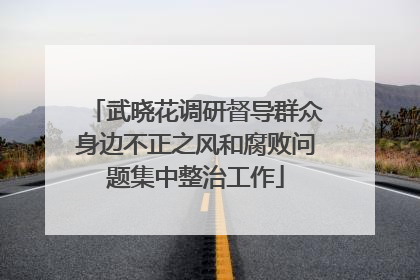 武晓花调研督导群众身边不正之风和腐败问题集中整治工作
