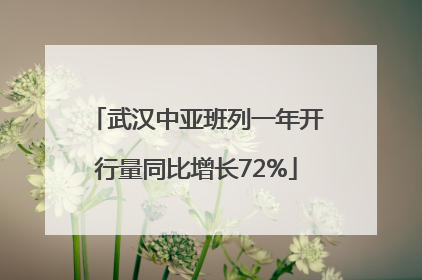 武汉中亚班列一年开行量同比增长72%