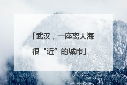 武汉，一座离大海很“近”的城市