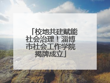校地共建赋能社会治理！淄博市社会工作学院揭牌成立