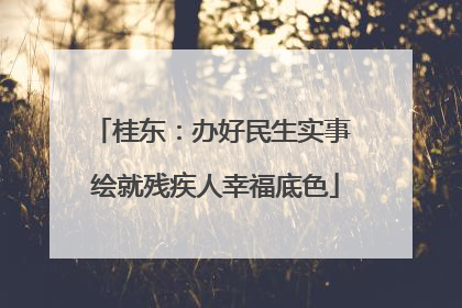 桂东：办好民生实事 绘就残疾人幸福底色