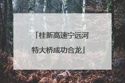 桂新高速宁远河特大桥成功合龙