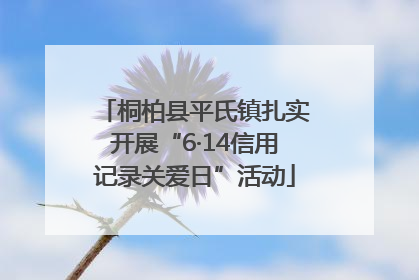 桐柏县平氏镇扎实开展“6·14信用记录关爱日”活动