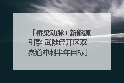 桥梁动脉+新能源引擎 武陟经开区双赛道冲刺半年目标
