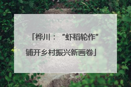 桦川：“虾稻轮作”铺开乡村振兴新画卷