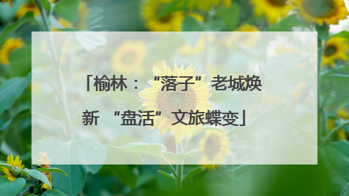 榆林：“落子”老城焕新 “盘活”文旅蝶变
