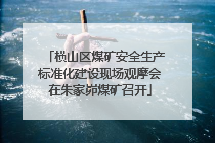 横山区煤矿安全生产标准化建设现场观摩会在朱家峁煤矿召开
