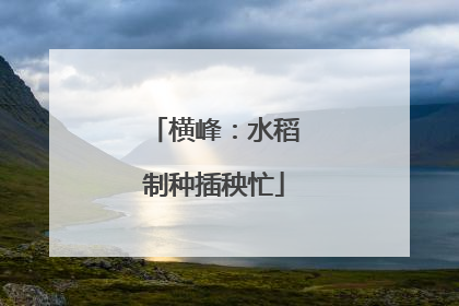 横峰：水稻制种插秧忙