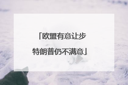 欧盟有意让步 特朗普仍不满意