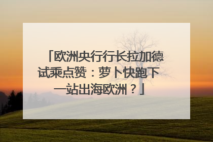 欧洲央行行长拉加德试乘点赞：萝卜快跑下一站出海欧洲？