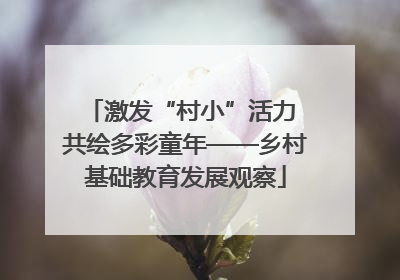激发“村小”活力 共绘多彩童年——乡村基础教育发展观察