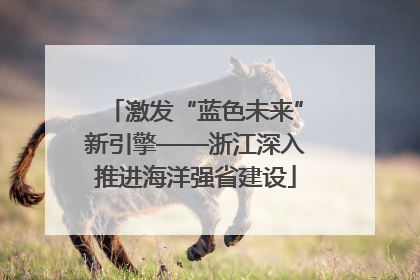 激发“蓝色未来”新引擎——浙江深入推进海洋强省建设