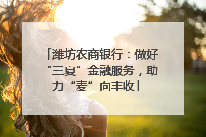 潍坊农商银行：做好“三夏”金融服务，助力“麦”向丰收
