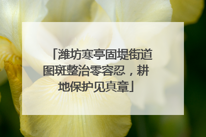 潍坊寒亭固堤街道图斑整治零容忍，耕地保护见真章