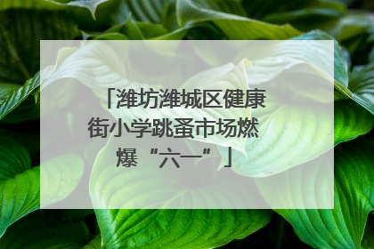 潍坊潍城区健康街小学跳蚤市场燃爆“六一”