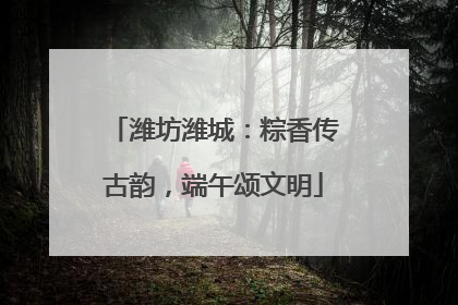 潍坊潍城：粽香传古韵，端午颂文明