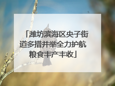 潍坊滨海区央子街道多措并举全力护航粮食丰产丰收