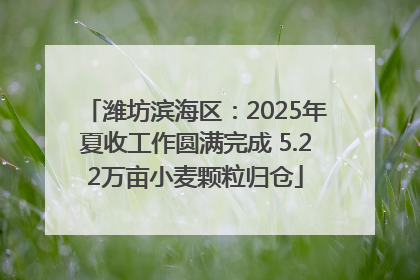 潍坊滨海区：2025年夏收工作圆满完成 5.22万亩小麦颗粒归仓
