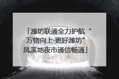 潍坊联通全力护航“万物向上·更好潍坊”凤溪地夜市通信畅通