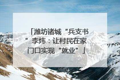潍坊诸城“兵支书”李炜：让村民在家门口实现“就业”