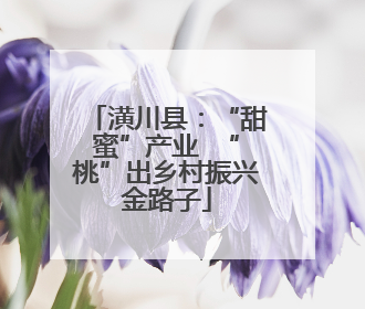 潢川县：“甜蜜”产业  “桃”出乡村振兴金路子