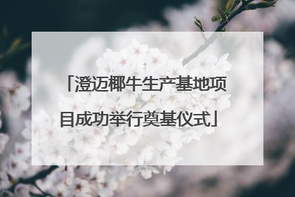 澄迈椰牛生产基地项目成功举行奠基仪式