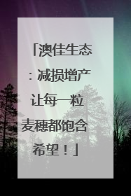 澳佳生态：减损增产 让每一粒麦穗都饱含希望！