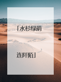 水杉绿荫连阡陌