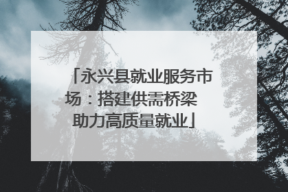 永兴县就业服务市场：搭建供需桥梁 助力高质量就业