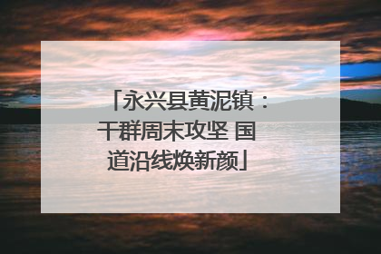 永兴县黄泥镇：干群周末攻坚 国道沿线焕新颜