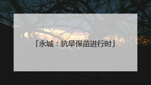 永城：抗旱保苗进行时