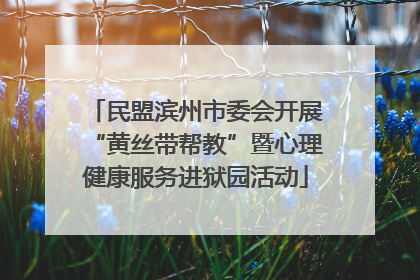 民盟滨州市委会开展“黄丝带帮教”暨心理健康服务进狱园活动
