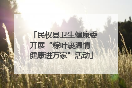 民权县卫生健康委开展“粽叶裹温情 健康进万家”活动