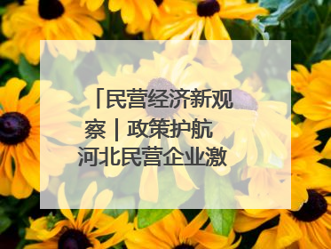 民营经济新观察｜政策护航 河北民营企业激发新“冀”遇