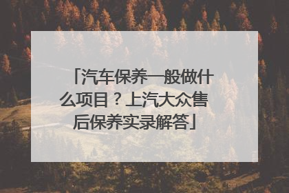 汽车保养一般做什么项目？上汽大众售后保养实录解答