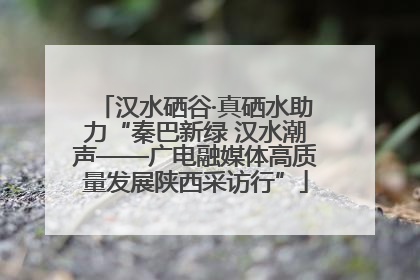 汉水硒谷·真硒水助力“秦巴新绿 汉水潮声——广电融媒体高质量发展陕西采访行”