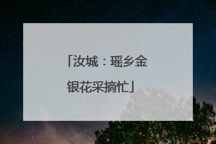 汝城：瑶乡金银花采摘忙