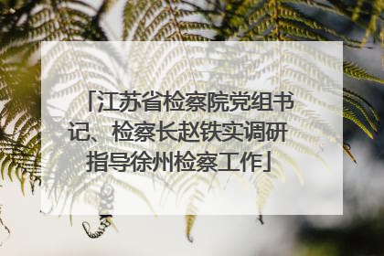 江苏省检察院党组书记、检察长赵铁实调研指导徐州检察工作