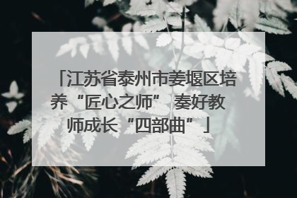 江苏省泰州市姜堰区培养“匠心之师” 奏好教师成长“四部曲”