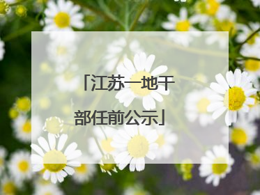 江苏一地干部任前公示