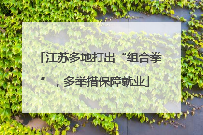 江苏多地打出“组合拳”，多举措保障就业