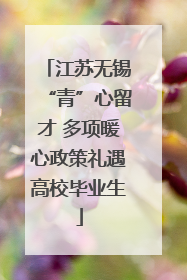 江苏无锡“青”心留才 多项暖心政策礼遇高校毕业生