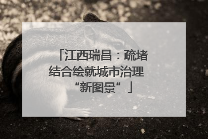 江西瑞昌：疏堵结合绘就城市治理“新图景”