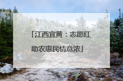 江西宜黄：志愿红助农惠民情意浓