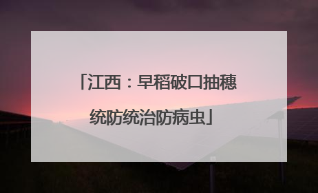 江西：早稻破口抽穗 统防统治防病虫