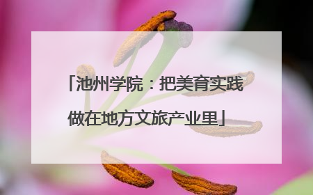 池州学院：把美育实践做在地方文旅产业里